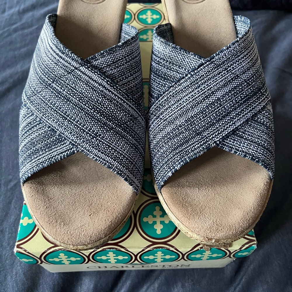 Cute Charleston Shoe Co. blue and white sandals size 9 - never worn outside!